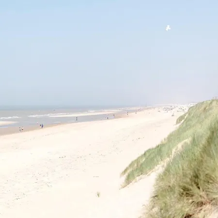 Simple In De Haan *
